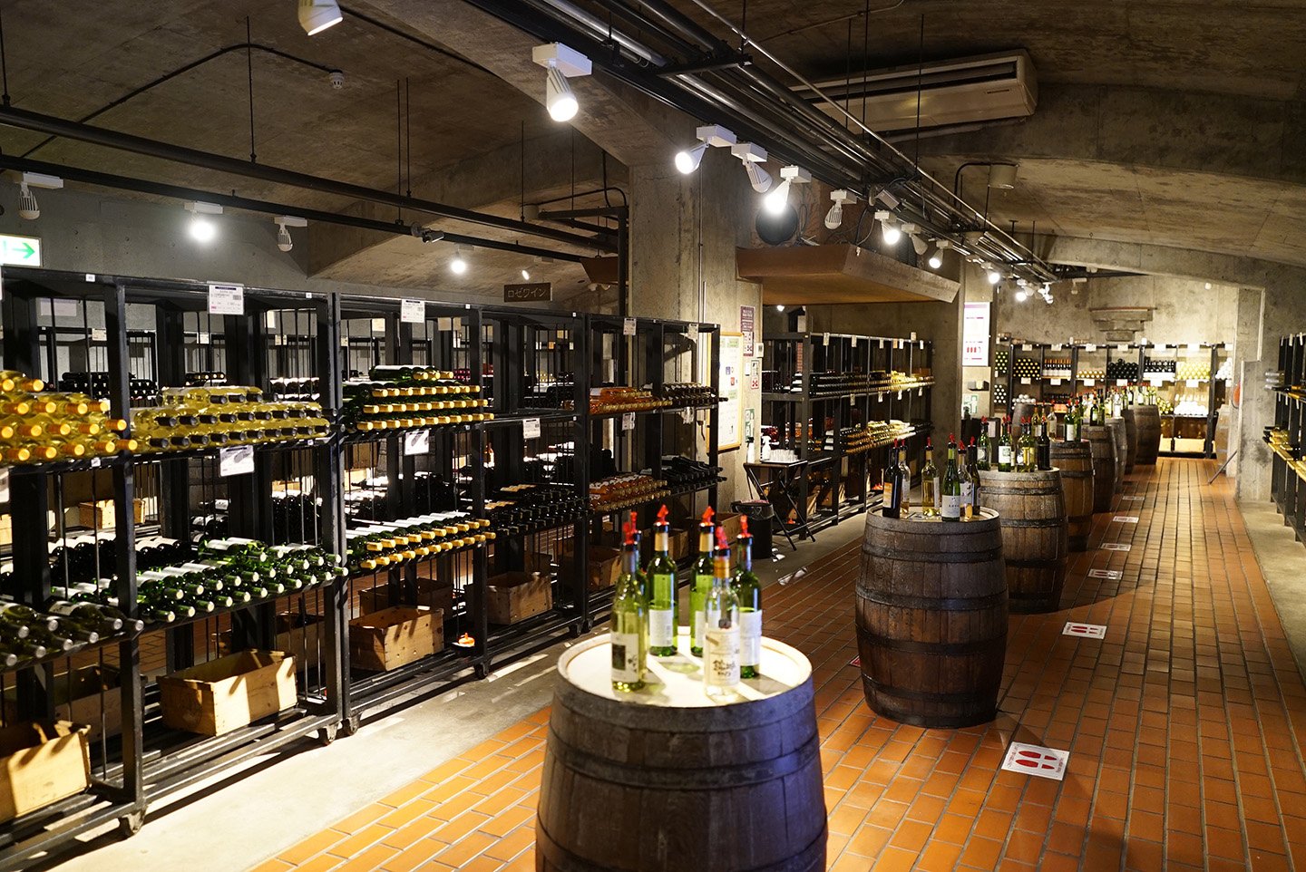 🍇 고슈시 가쓰누마 포도의 언덕(부도노오카)